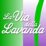 la-via-della-lavanda